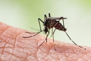 Saúde intensifica ações na Semana Estadual de Combate ao mosquito da Dengue