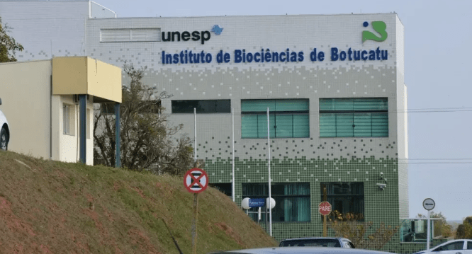 Criminosos furtam 20 computadores do Instituto de Biociências da Unesp de Botucatu