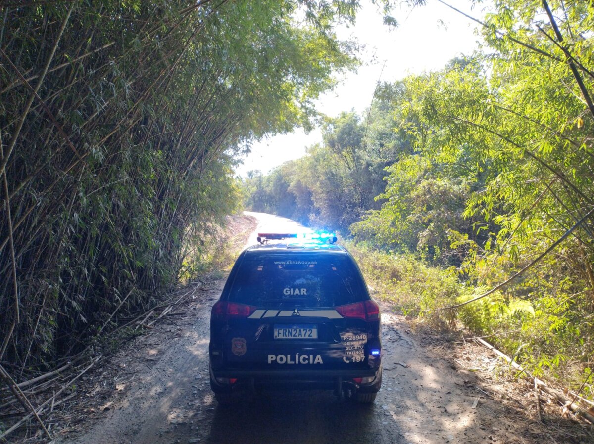 Polícia Civil: operação combate furtos contra apicultores da região