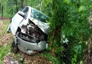 Motorista perde controle da direção e bate o carro em árvore na Serra da Macaca no interior de SP