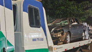 Acidente com animais soltos na pista deixa motorista ferido em Lençóis Paulista