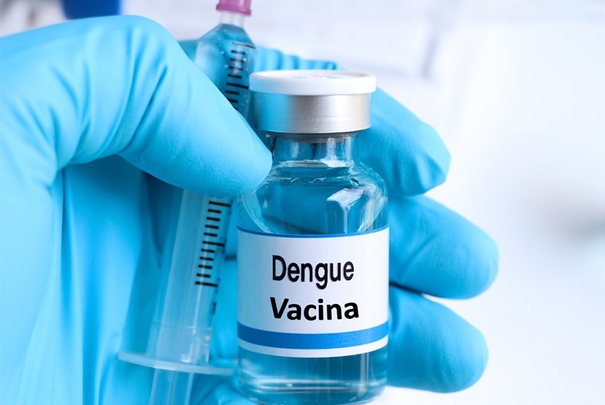 FMB/Unesp explica manifestação na pele após aplicação da vacina contra a dengue
