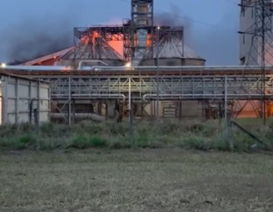 00000000000000000000duratex