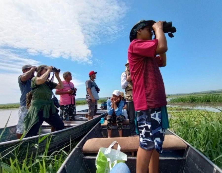 00b0b1e8a04474d923af47831784c41f