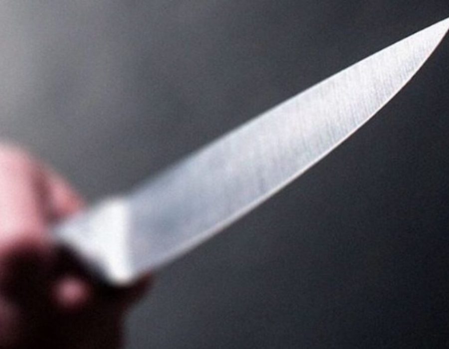 1-FACADA2-1024x709-1