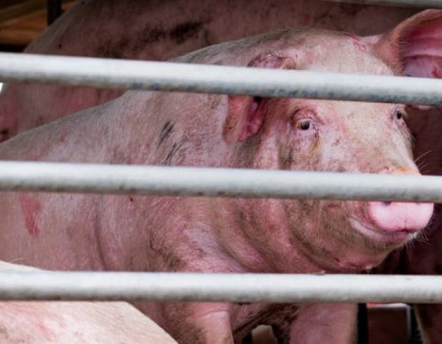 113157156-gettyimages-1151096351