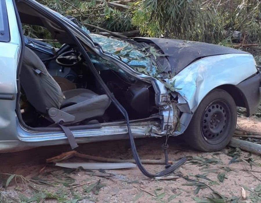 144821890_3463183717126022_6937262706272650571_o