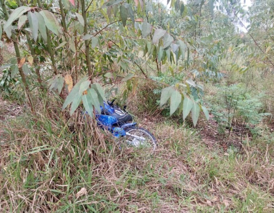 14news.com.br-14news.com-.br-image-1