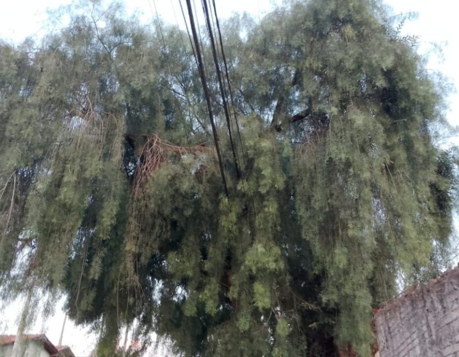 14news.com.br-14news.com-.br-image-3