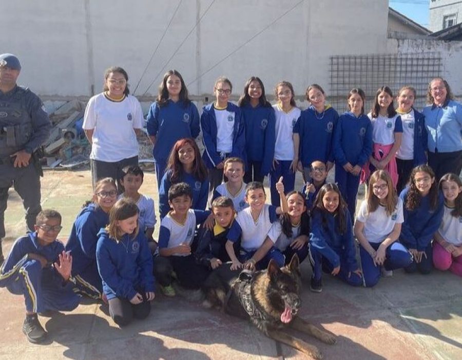 14news.com.br-14news.com-.br-screenshot-20240608-092746-496