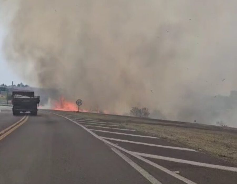 14news.com.br-14news.com-.br-screenshot-20241003-083916-405