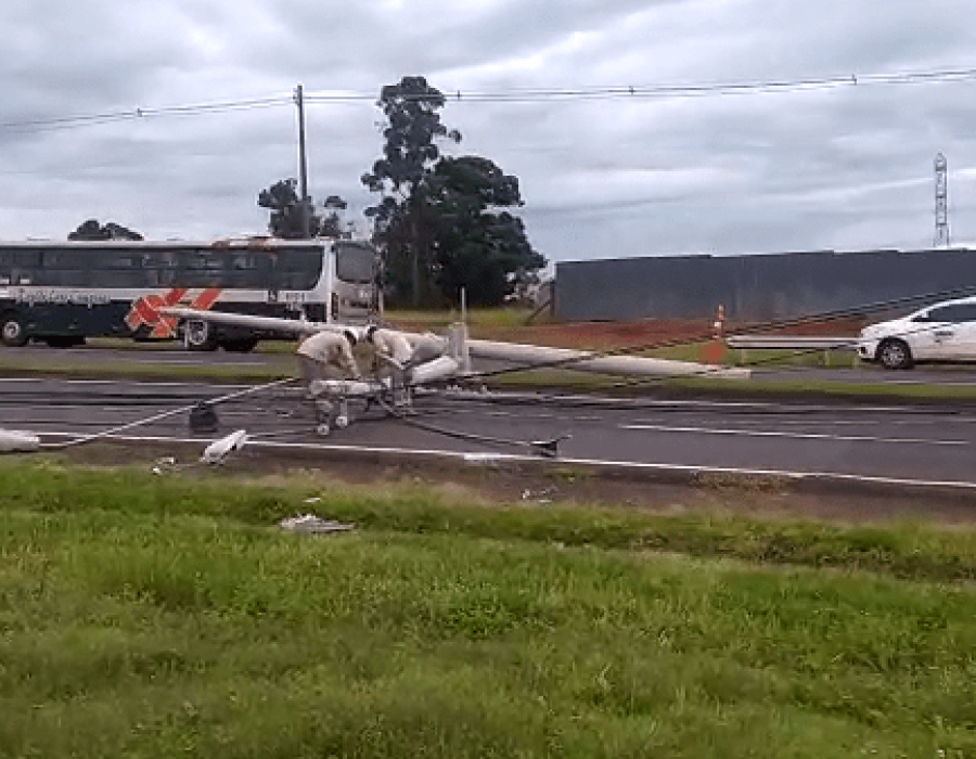 14news.com.br-apos-acidente-7-postem-caem-na-rodovia-domingos-sartori-image