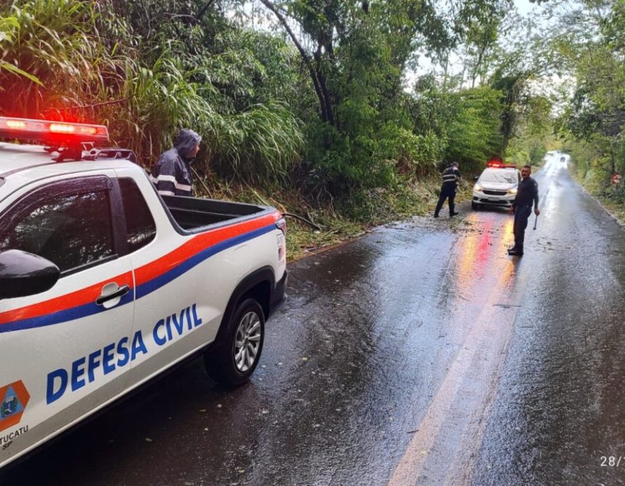 14news.com.br-apos-queda-de-arvore-defesa-civil-libera-rodovia-img-20241228-wa0049