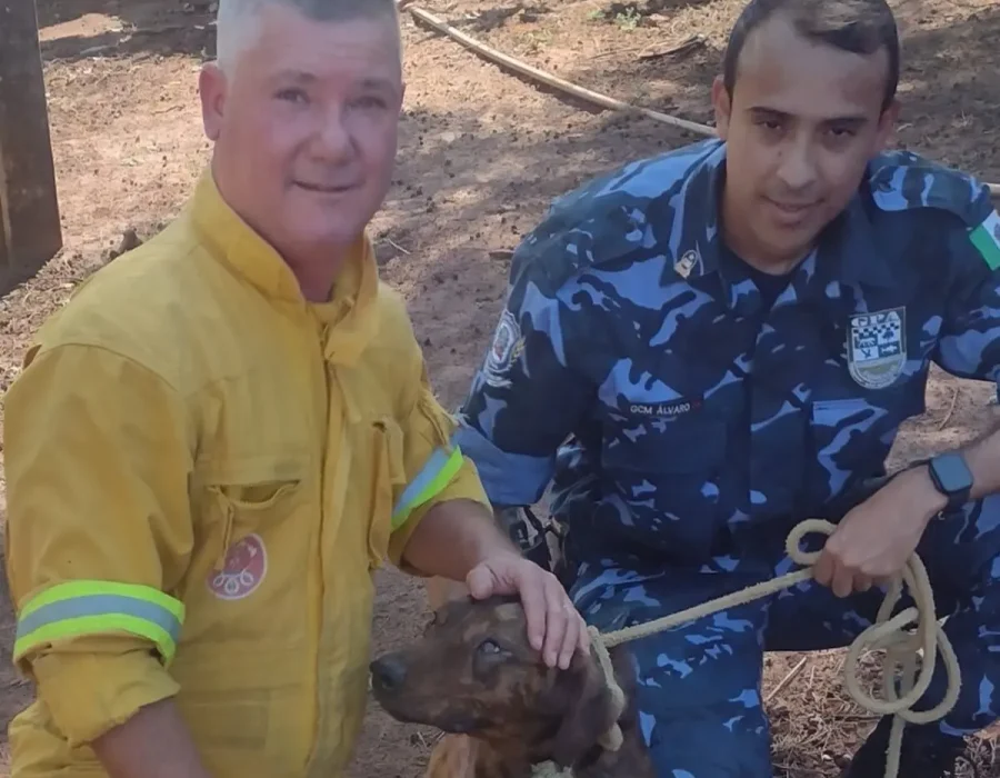 14news.com.br-bombeiros-resgatam-cachorro-que-estava-preso-em-erosao-img-20230608-wa00692.jpg