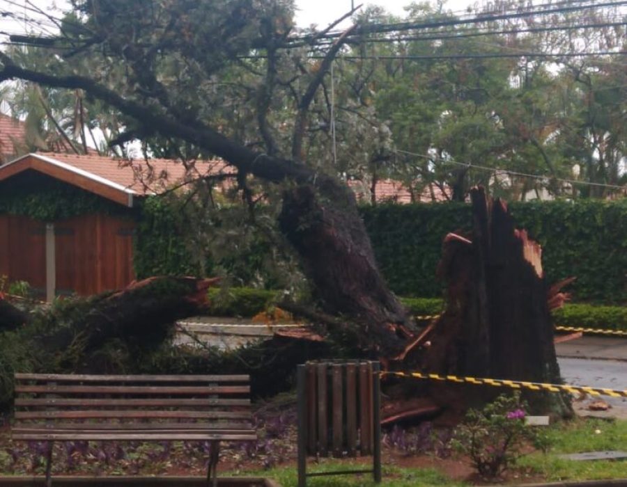 14news.com.br-botucatu-e-sao-manuel-registram-ocorrencias-durante-a-chuva-img-20211024-wa0028-768x1024
