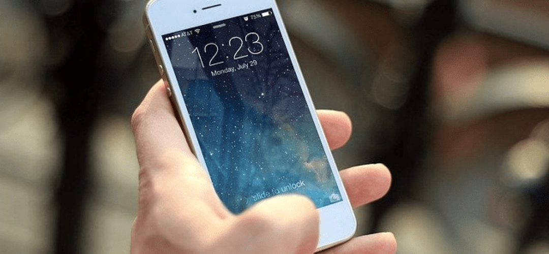 14news.com.br-celular