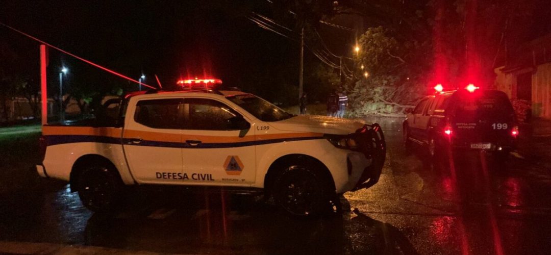 14news.com.br-chuva-causa-queda-de-arvore-e-falta-de-energia-img-20221029-wa0069
