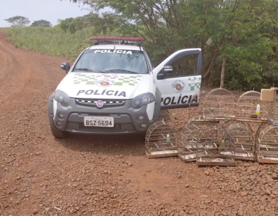 14news.com.br-confira-os-destaques-das-forcas-de-seguranca-em-botucatu-e-regiao-img-20230929-wa0070