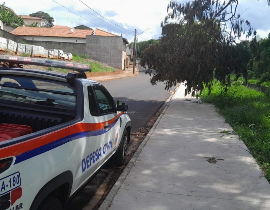 14news.com.br-defesa-civil-faz-retirada-de-parte-de-arvore-caida-na-calcada-img-20250105-wa0012