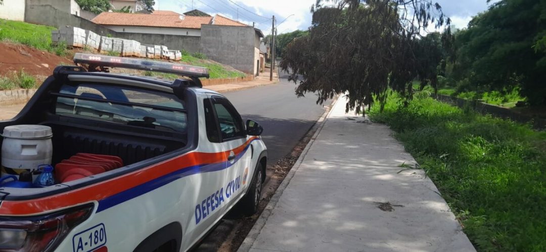 14news.com.br-defesa-civil-faz-retirada-de-parte-de-arvore-caida-na-calcada-img-20250105-wa0012