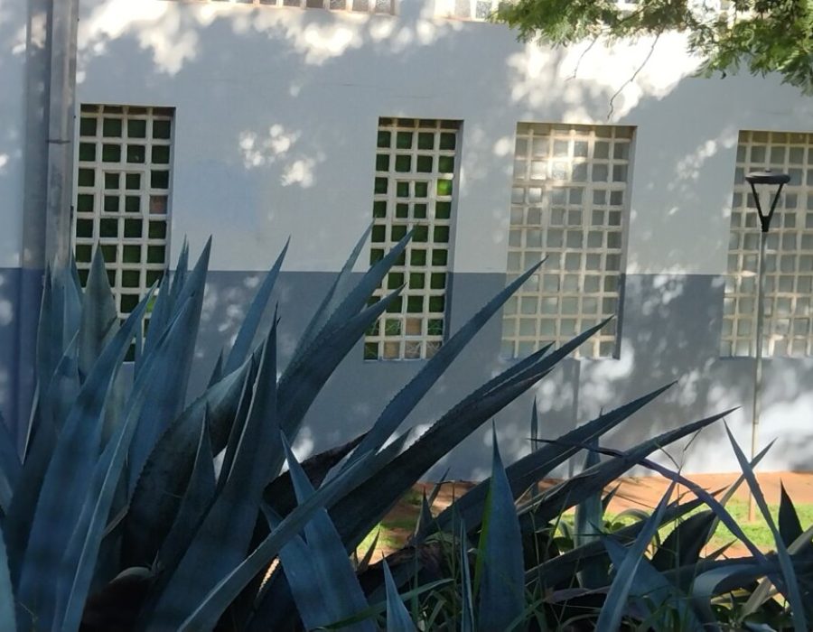 14news.com.br-fieis-doam-tinta-para-apagar-pichacao-em-igreja-de-botucatu-img-20241216-wa0039