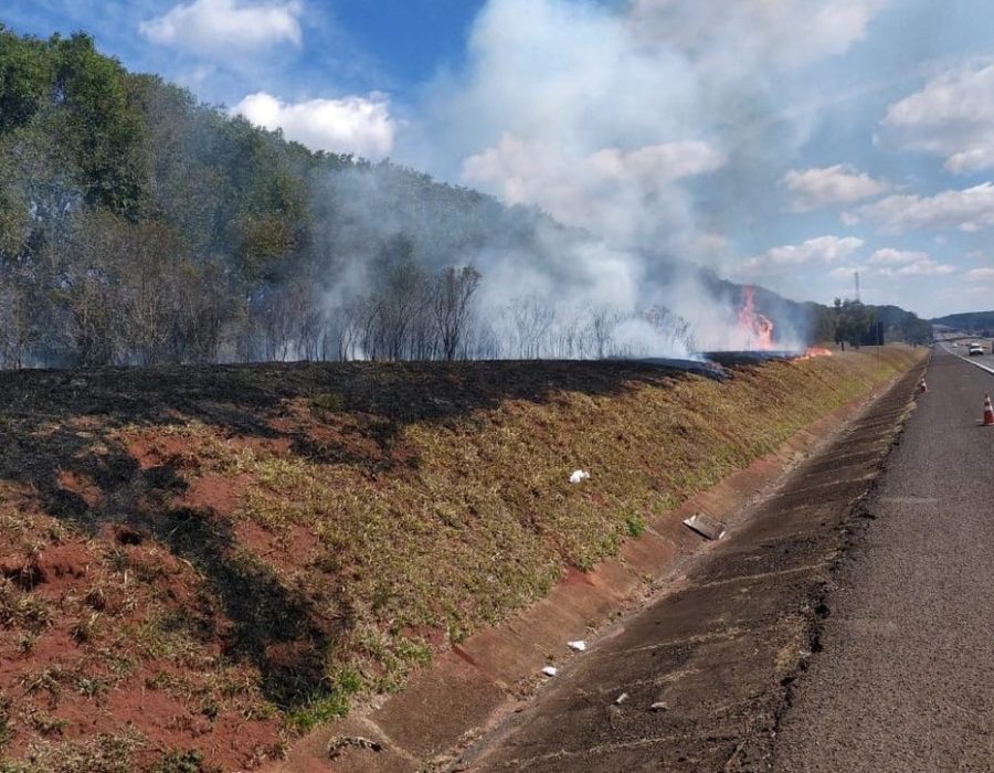 14news.com.br-homem-e-preso-acusado-de-atear-fogo-em-vegetacao-na-beira-da-rodovia-queimada-pmr