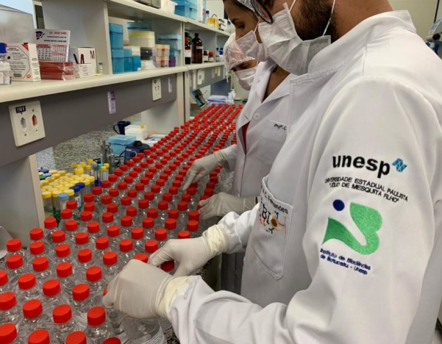 14news.com.br-ibb-produz-antisseptico-no-combate-ao-coronavirus-busca-parceiros-para-fornecimento-de-frascos-ibb-unesp-produz-antisseptico-no-combate-ao-coronavirus-768x576