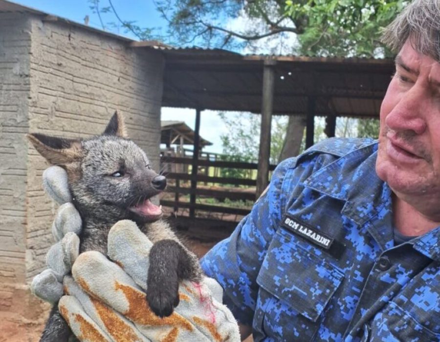 14news.com.br-img-20231009-wa0128-e1696881171675-768x689 (2)