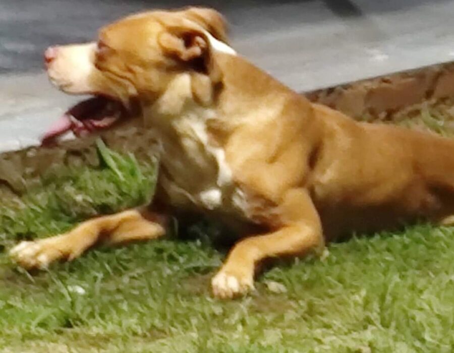 14news.com.br-img-20231203-wa0042