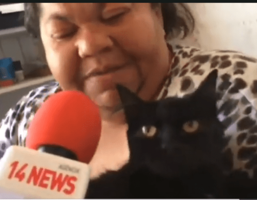 14news.com.br-moradora-que-perdeu-tudo-pede-ajuda-screenshot-20230322-145135-594