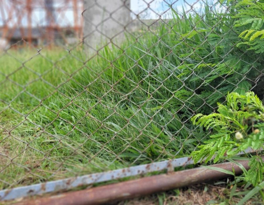 14news.com.br-moradores-relatam-uso-de-drogas-na-torre-de-teve-no-jardim-paraiso-14news.com-.br-moradores-relatam-uso-de-drogas-na-torre-de-teve-no-jardim-paraiso-image