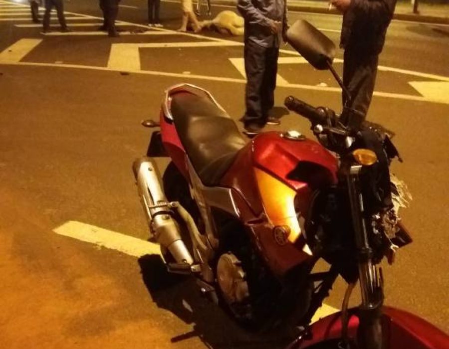 14news.com.br-motociclista-atinge-cavalo-que-estava-solto-em-rodovia-de-botucatu-cavalo