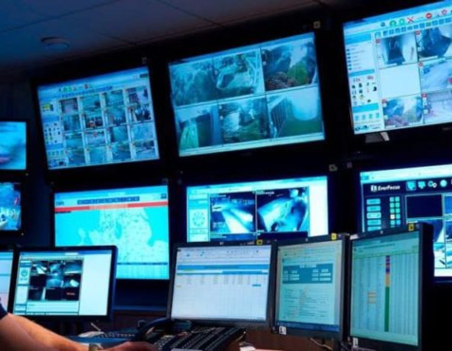 14news.com.br-perseguicao-e-registrada-no-centro-de-botucatu-apos-invasao-a-empresa-peres-cameras-768x370