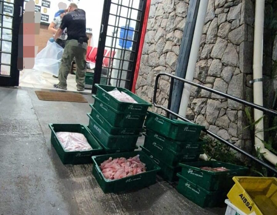 14news.com.br-pm-ambiental-apreende-457-quilos-de-peixe-14news.com-.br-pm-ambiental-apreende-457-quilos-de-peixe-screenshot-20241015-093126-661