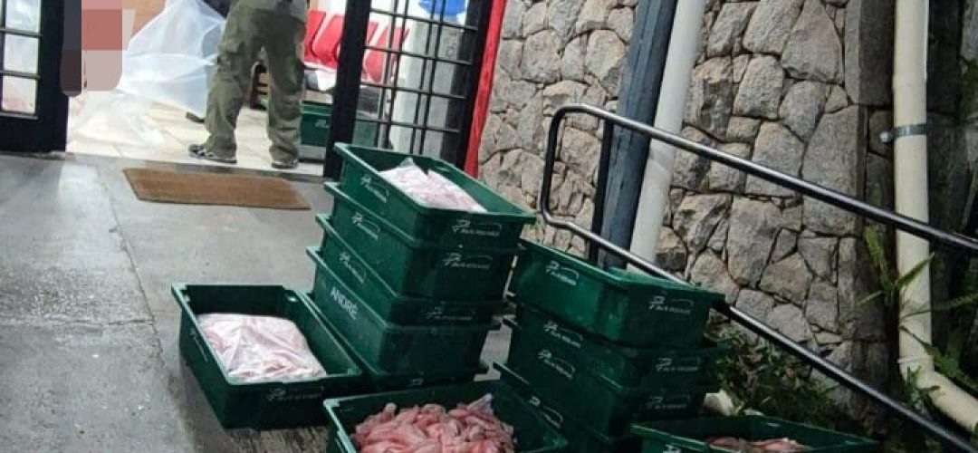 14news.com.br-pm-ambiental-apreende-457-quilos-de-peixe-14news.com-.br-pm-ambiental-apreende-457-quilos-de-peixe-screenshot-20241015-093126-661
