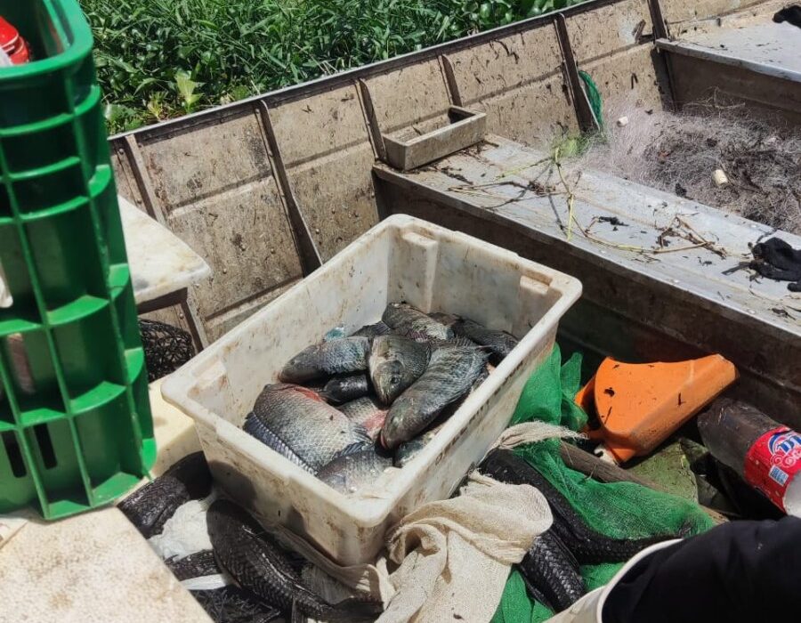 14news.com.br-pm-ambiental-flagra-caso-de-pesca-predatoria-img-20231024-wa0067