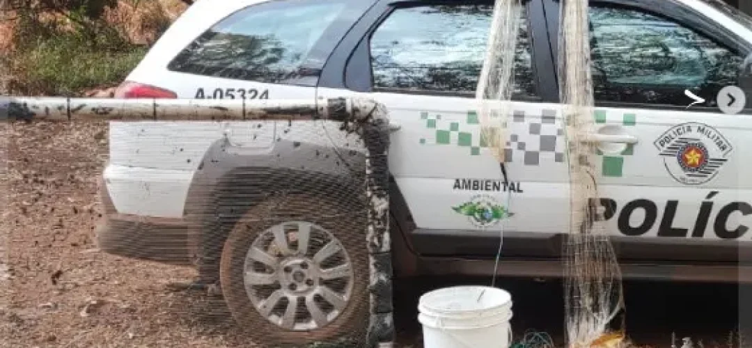 14news.com.br-policia-ambiental-flagra-pesca-nao-permitida-em-sao-manuel-14news.com-.br-policia-ambiental-flagra-pesca-nao-permitida-em-sao-manuel-image.jpg