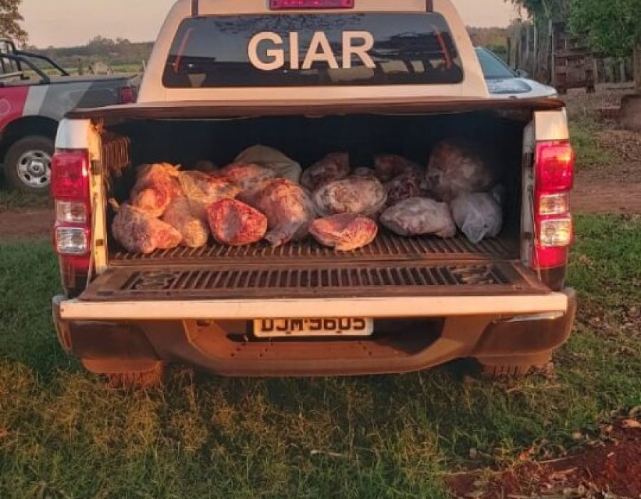 14news.com.br-policia-civil-e-defesa-agropecuaria-apreendem-200-quilos-de-carne-de-abate-clandestino-img-20230913-wa0007