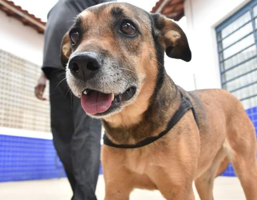 14news.com.br-prefeitura-mais-perto-de-voce-realiza-300-atendimentos-fb-img-1698605670332