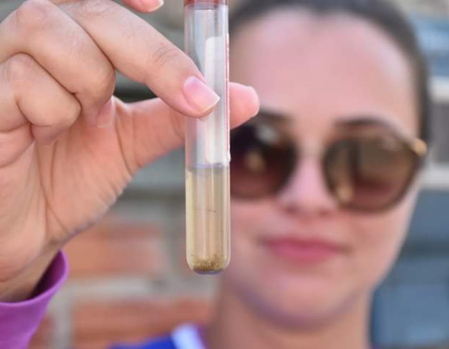 14news.com.br-servidores-encontram-larvas-e-agua-parada-durante-acao-contra-a-dengue-fb-img-1710707309791