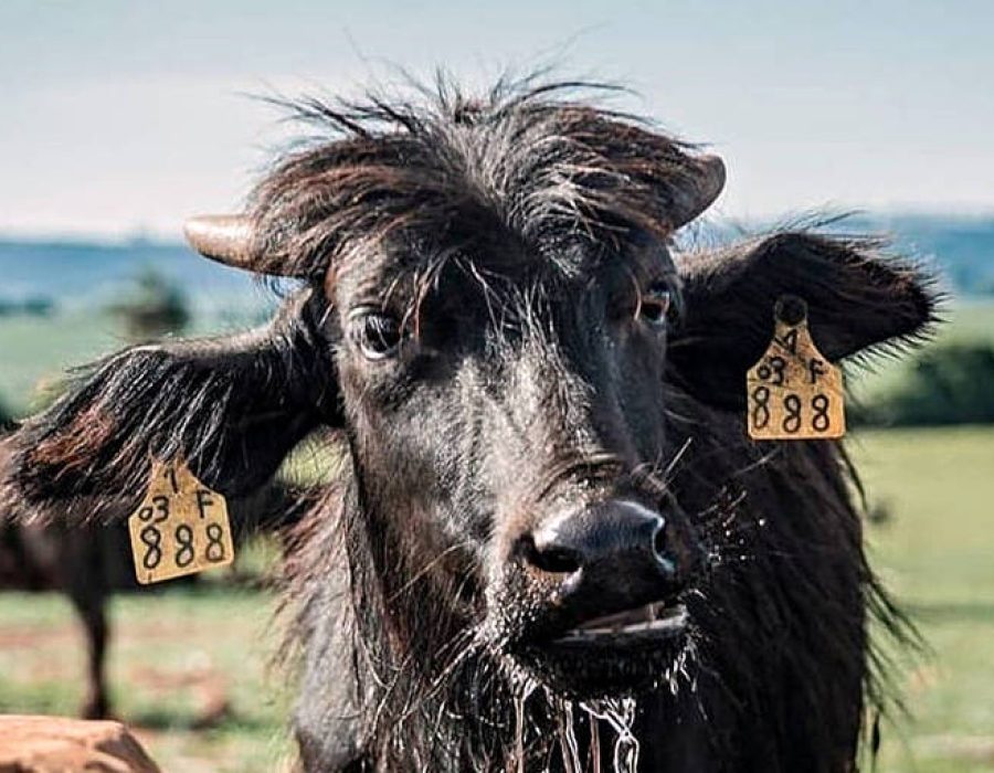 163795427161a132df5b534_1637954271_3x2_md