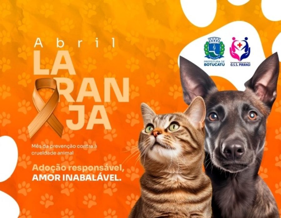 193e58297486c03dff594530adca3639