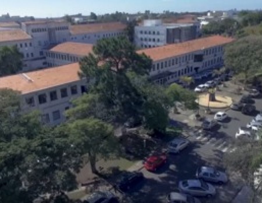 1_document_rio_covid_hc_de_botucatu_5-3710520