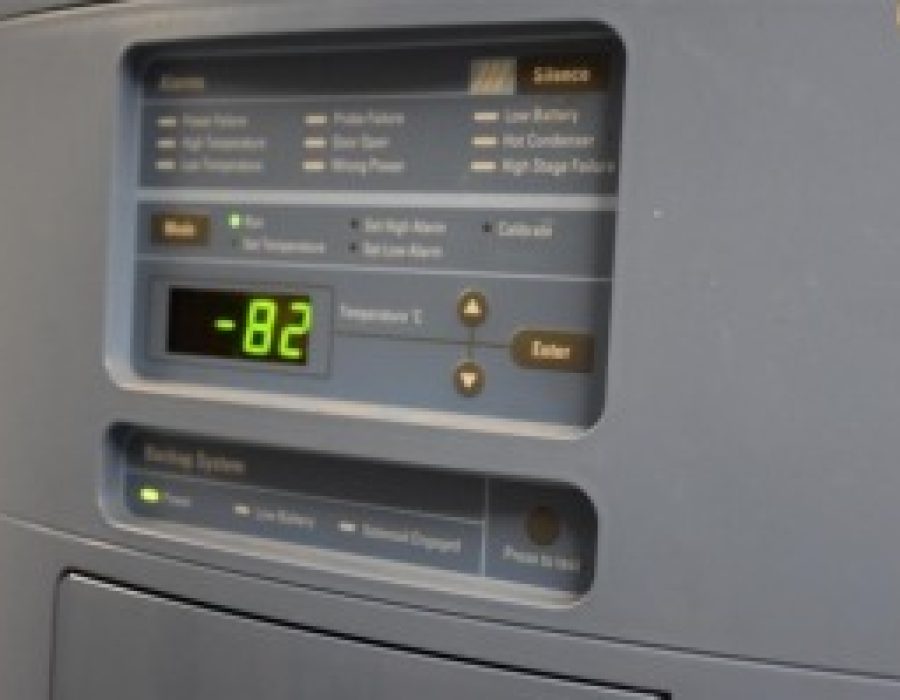 1_dsc_0916__large_-3432050