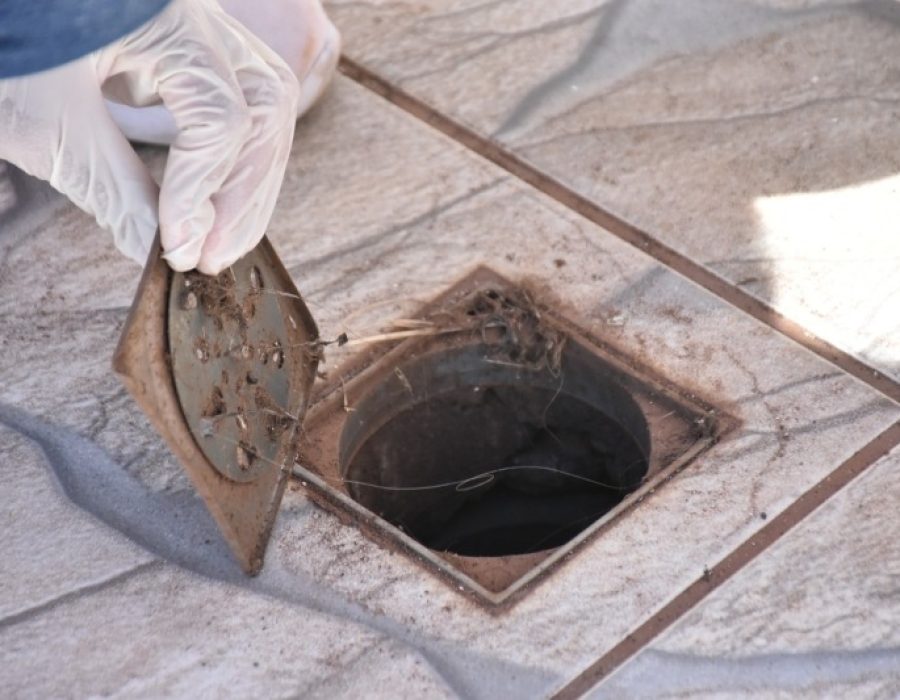 1a0f31886bf7d289ea216a2e5db2c2a1