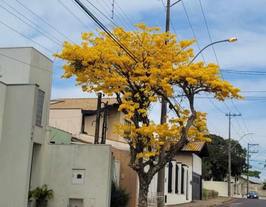 20230814_130512-1-scaled-e1692037838237-768x580