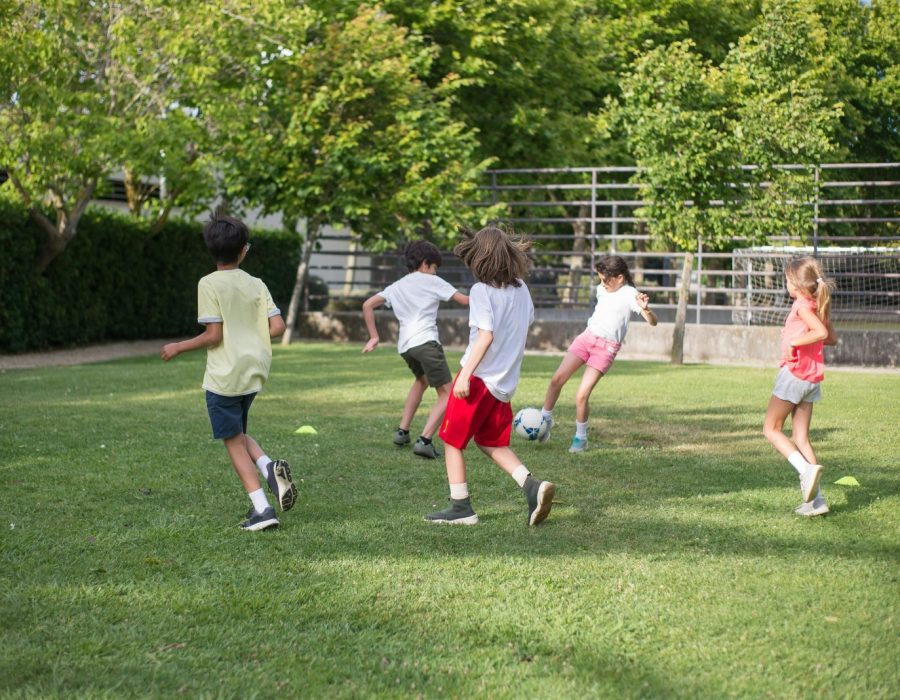 2025-01-10-16-35-54-ferias