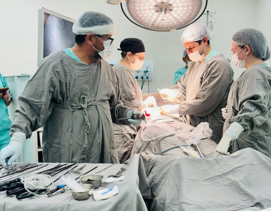 2025-08-01-11-51-48-vesicula