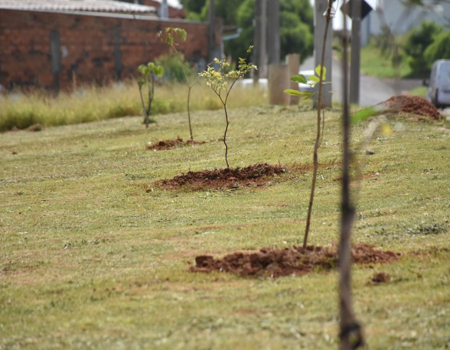 2025-10-20-18-26-56-sme_4764