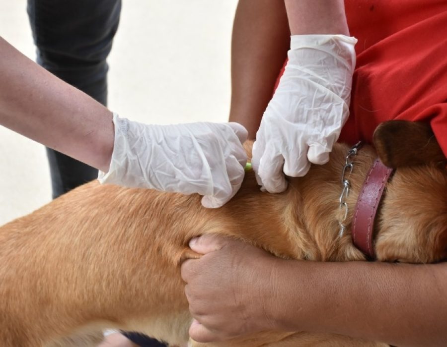 20f6bf69a67365c563013962f5bf421a